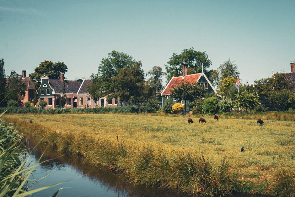 Beautiful landscape featuring traditional houses and green pastures in Zaanse Schans, Netherlands.
