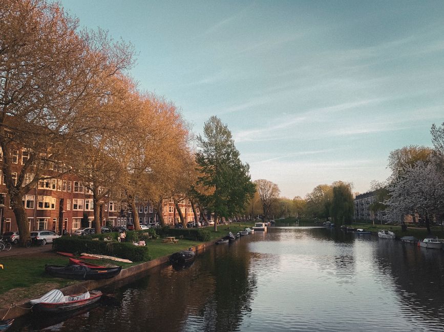 Beautiful spring day by Amsterdam's canal with trees and boats alongside.